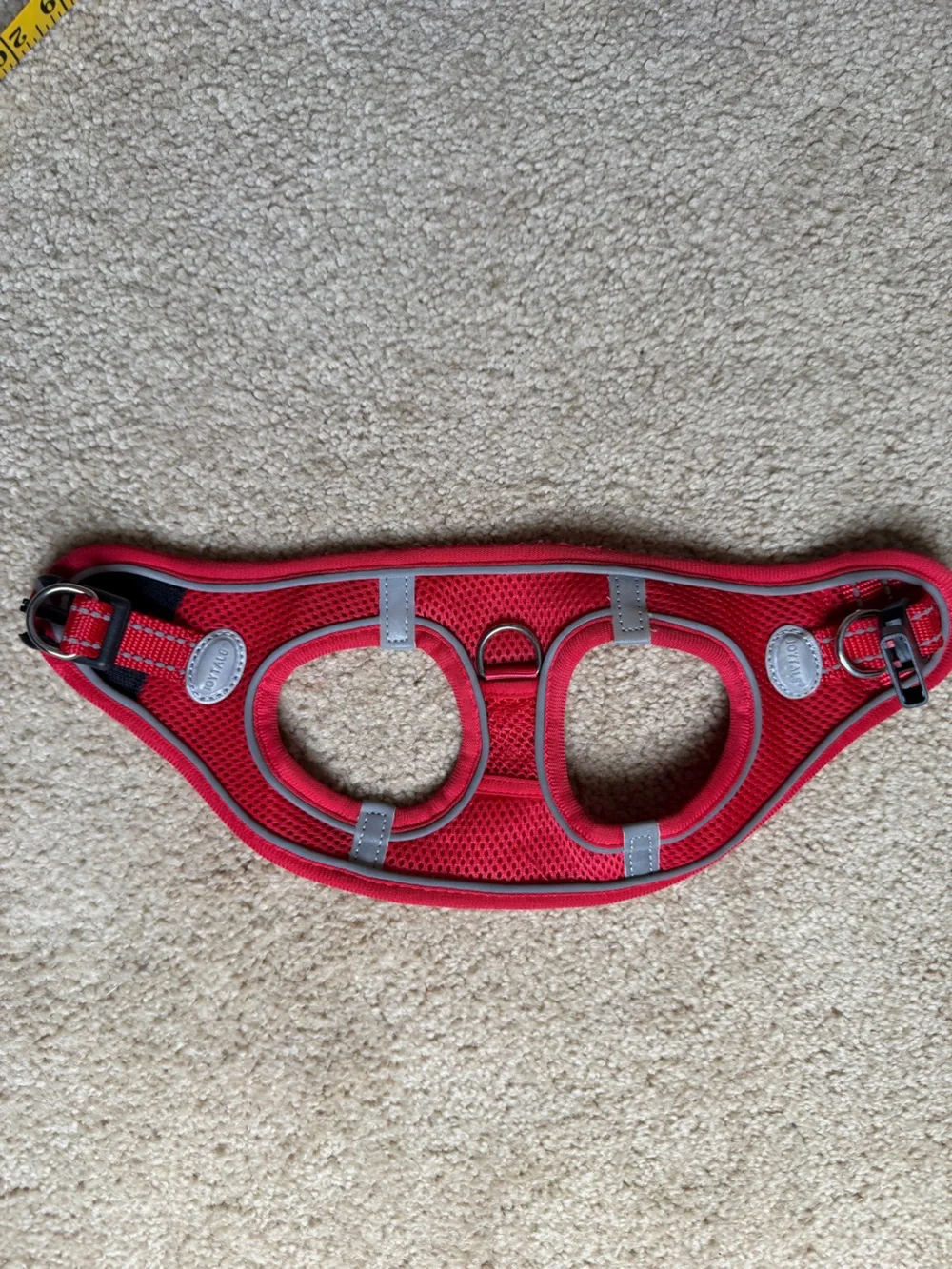 Joytail Red Harness